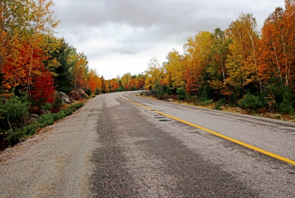 Driving Through Fall by Deb Oppermann